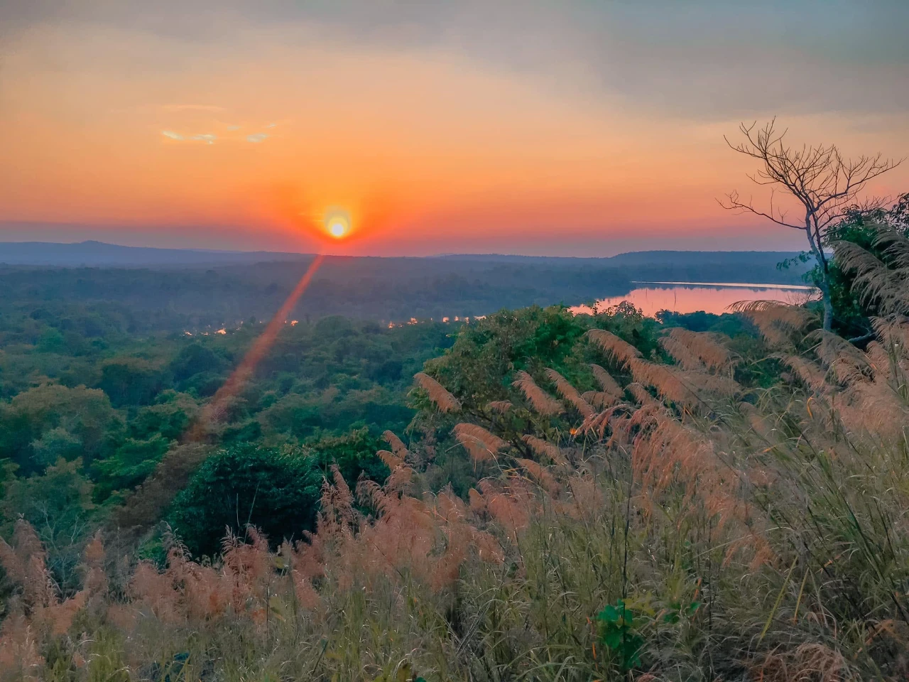 catalogs_file_121_0_1_638611.webp