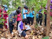 LINEALBUM20263262603314