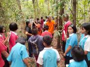 LINEALBUM20263262603317