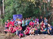 LINEALBUM20263262603319